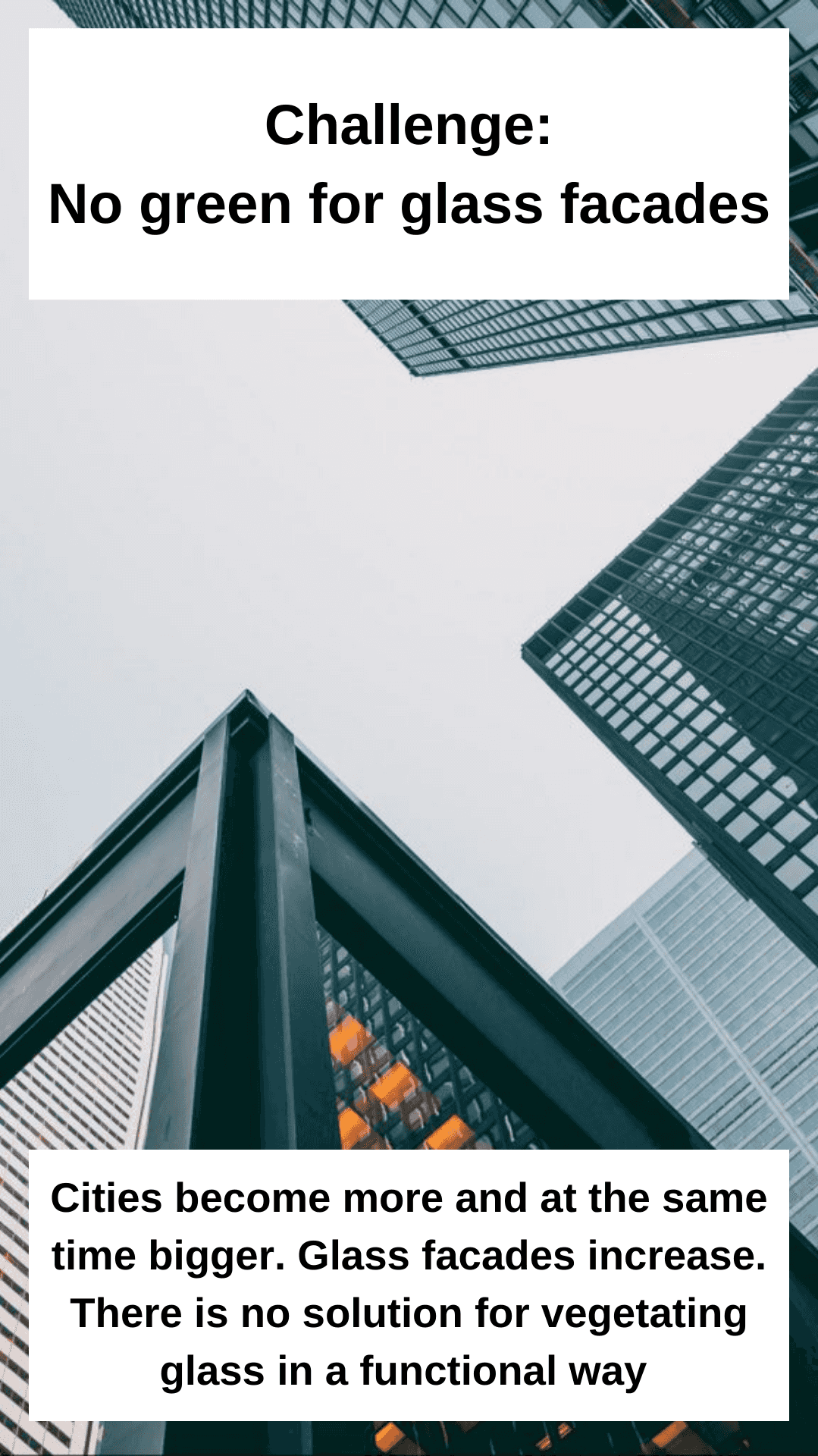 Cities become more and at the same time bigger. Glass facades increase. There is no solution for vegetating glass in a functional way