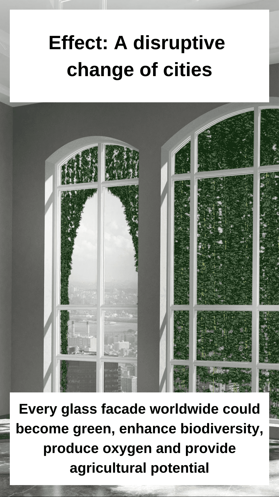 Every glass facade worldwide could become green, enhance biodiversity, produce oxygen and provide agricultural potential